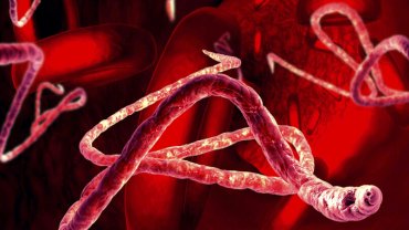 bioterrorism
