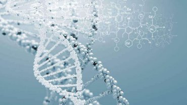 Genetic testing - Analyse your DNA