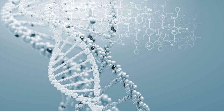 Genetic testing - Analyse your DNA
