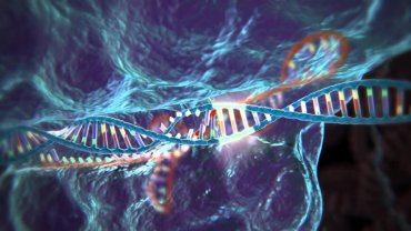 CRISPR genome editing method