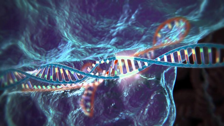 CRISPR genome editing method