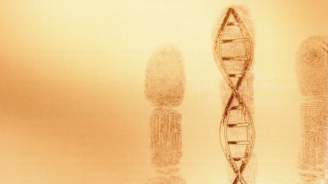 CRISPR/CAS9