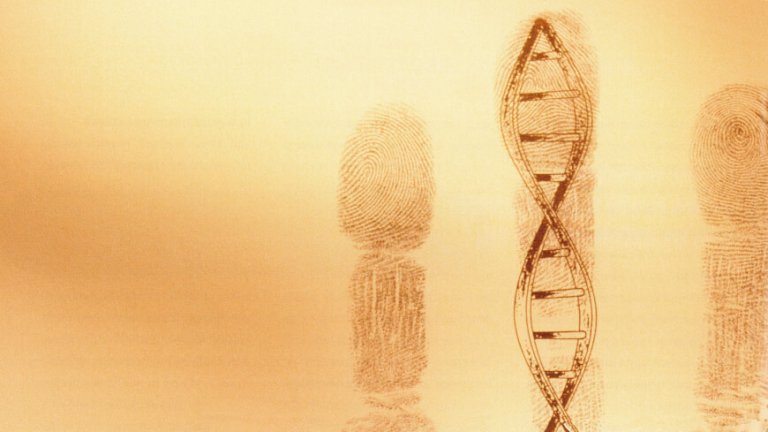 CRISPR/CAS9