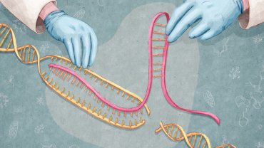 CRISPR/CAS9