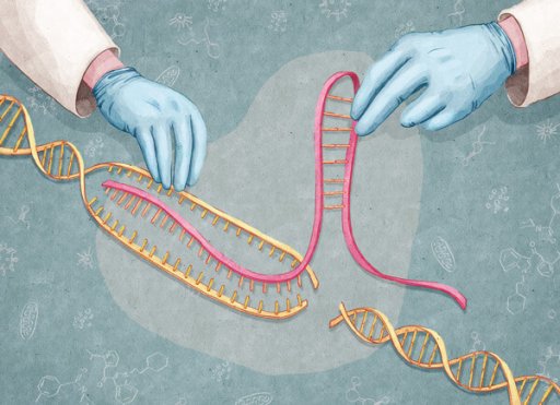 CRISPR/CAS9