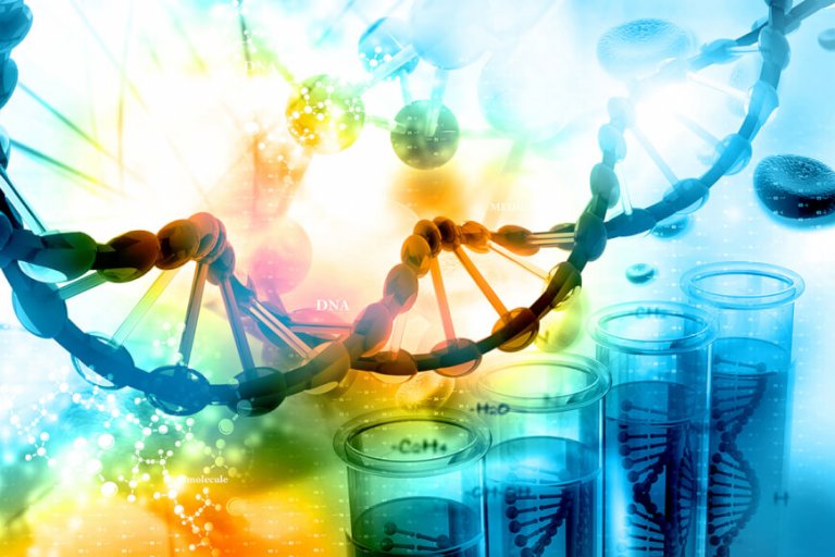DNA testing - myDNA review