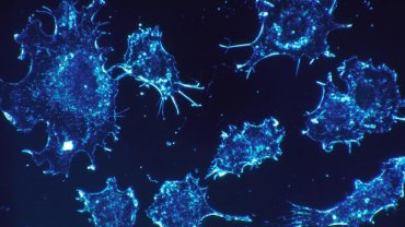 Cancer Pathways
