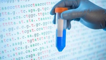 Genetic fate