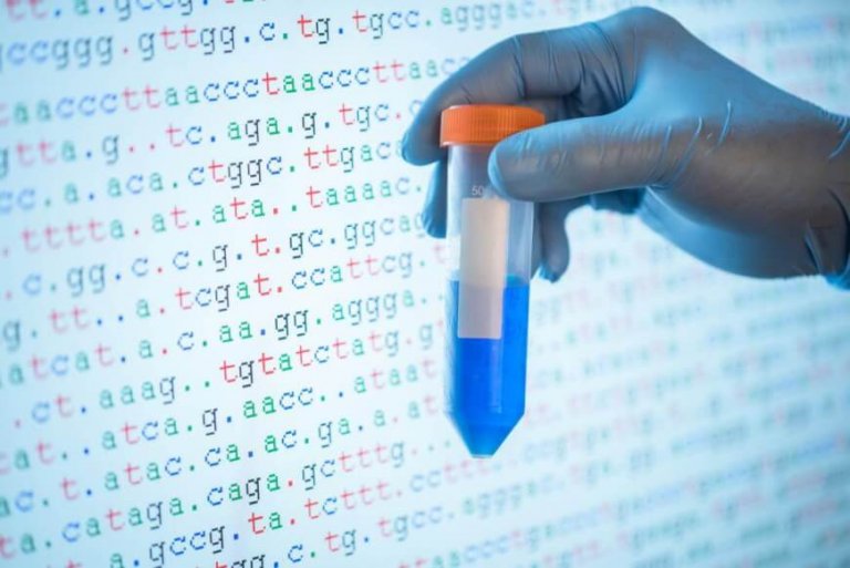 Genetic fate