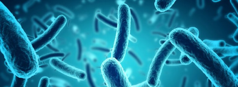 microbiome test