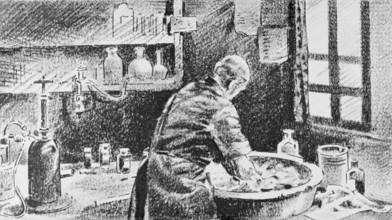 Semmelweis