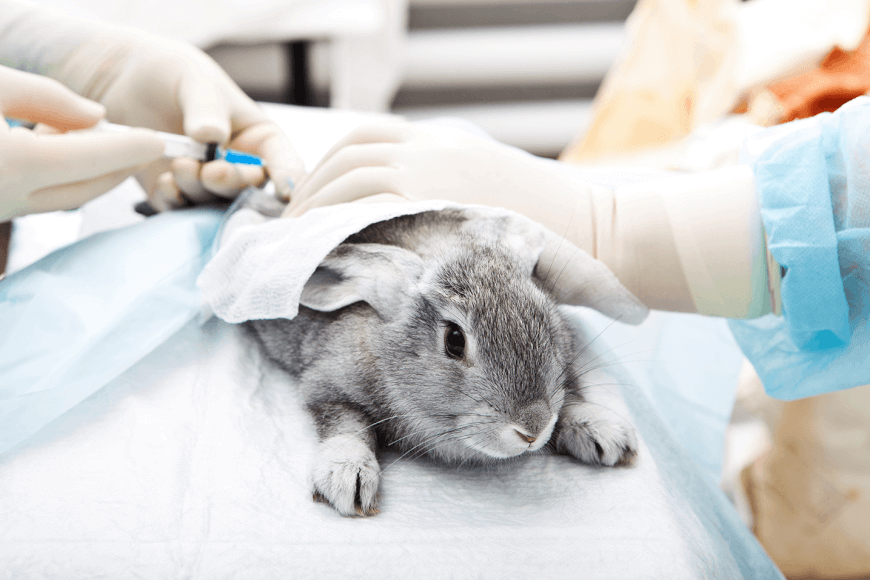 Bioprinting