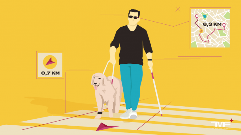 TMF, blind, dog, sight, eye, glasses