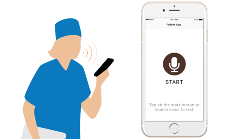voice to text