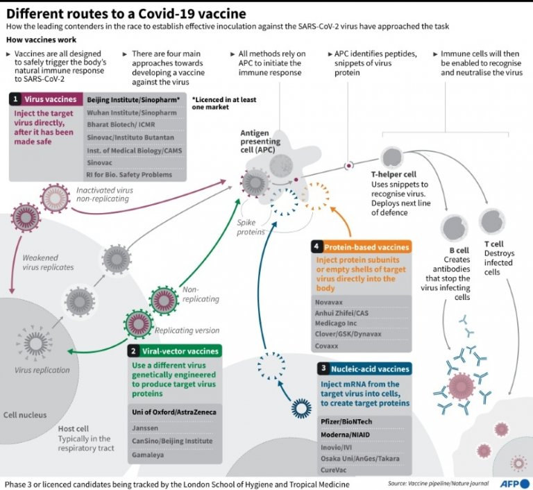 Where To Track Covid 19 Vaccinations The Medical Futurist